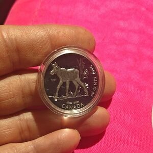 1996 Canadian Proof Silver 50 Cent